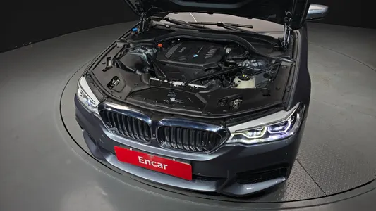 BMW 5 Series (G30) 520d M 2017 6