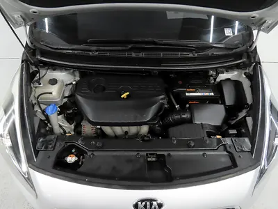 Kia 카렌스 2.0 LPi 2015 19
