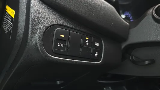 Kia 카렌스 2.0 LPi 2014 17