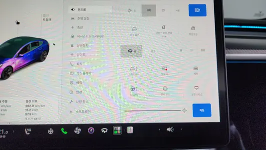 Tesla 3 AWD 2021 17