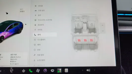 Tesla 3 AWD 2021 18