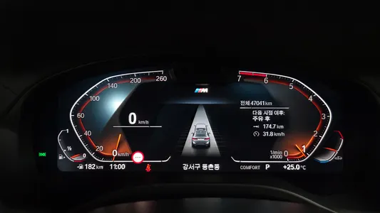 BMW X4 (G02) xDrive20i M 2024 8