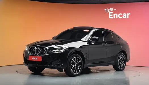 BMW X4 (G02) xDrive20i M 2024 21
