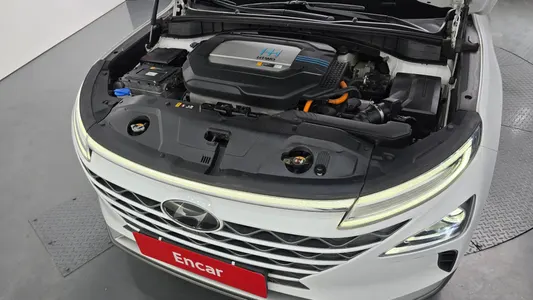 Hyundai 넥쏘 2021 6