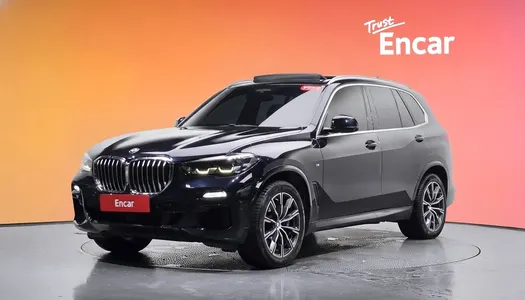 BMW X5 (G05) xDrive 30d M 2019 20