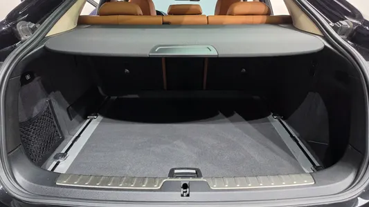 BMW X6 (F16) xDrive 30d 2017 19