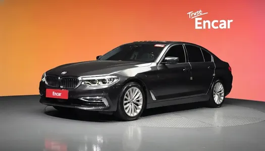 BMW 5 Series (G30) 520d xDrive 2019 20