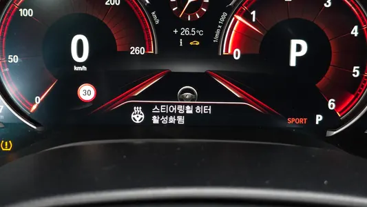 BMW 5 Series (G30) 520d M 2017 17