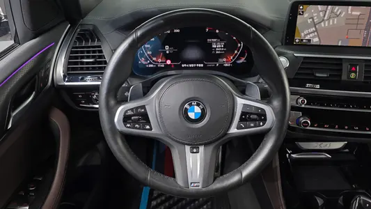 BMW X4 (G02) xDrive20i M X 2020 14