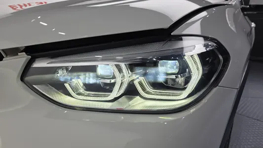 BMW X4 (G02) xDrive20i M X 2020 22
