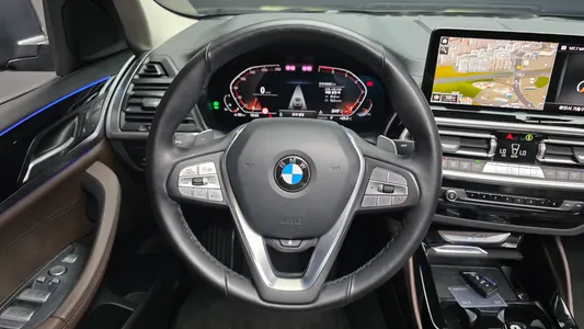 BMW X4 (G02) xDrive20i xLine 2022 14