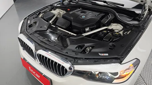 BMW 5 Series (G30) 520i 2018 6