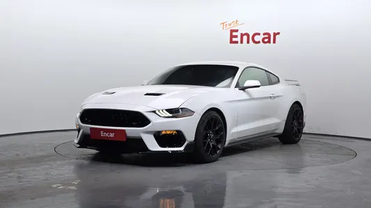 Ford 2019