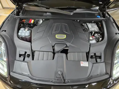 Porsche (PO536) 3.0 E- 2021 14
