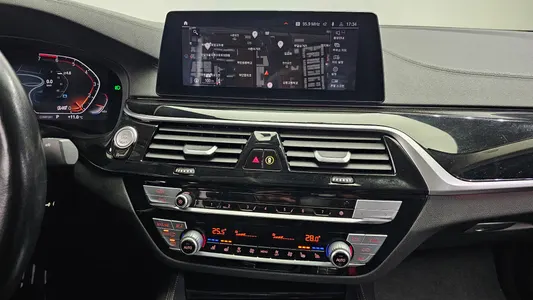 BMW 5 Series (G30) 530i 2020 14