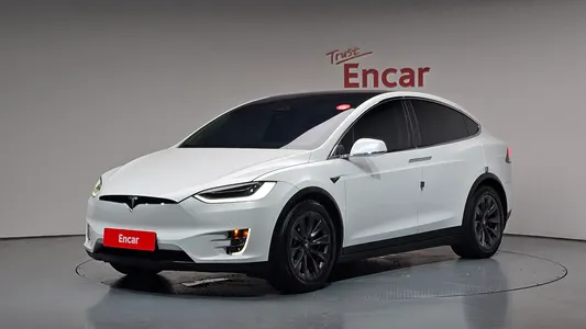 Tesla X 100D 2019