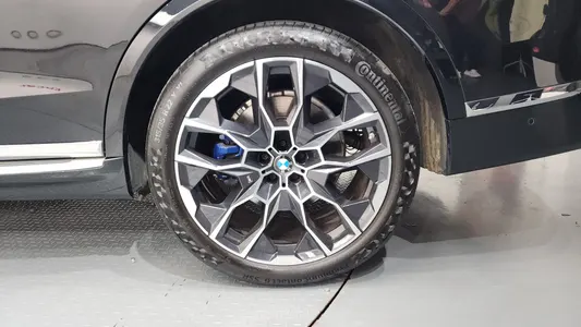 BMW X7 (G07) xDrive 40d M 6 2025 21