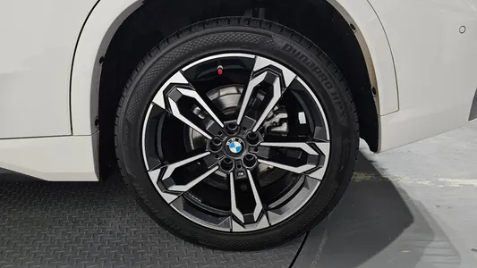 BMW X1 (U11) sDrive 18d M 2024 21