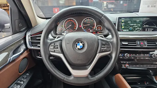BMW X6 (F16) xDrive 30d 2015 13