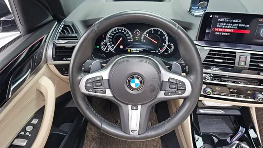 BMW X3 (G01) xDrive 20d M 2019 13