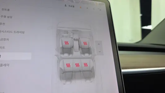 Tesla 3 AWD 2021 17