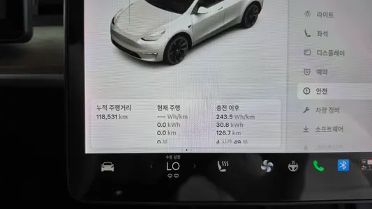 Tesla Y AWD 2021 29
