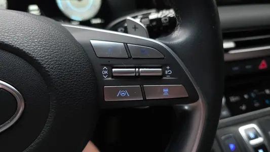 Hyundai 팰리세이드 2.2 2WD 2022 17