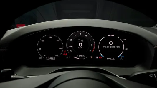 Porsche (976) 2.9 AWD 2025 8