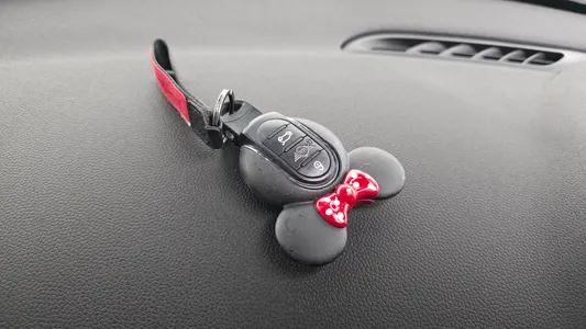 MINI D 5 2019 16