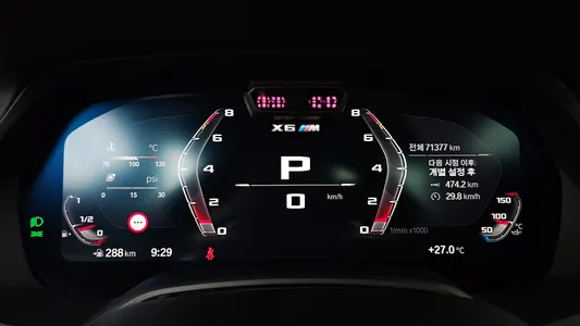 BMW X6M (G06) 4.4 2022 8