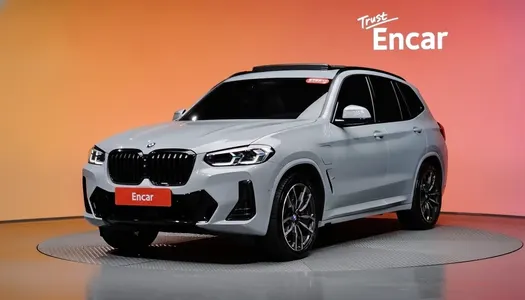 BMW X3 (G01) xDrive 30e M 2023 20