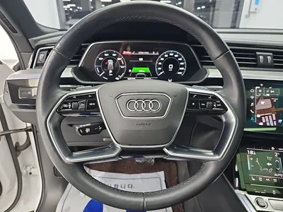 Audi e- 55 2022 9