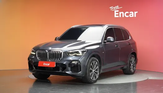 BMW X5 (G05) xDrive 30d M 2020 20