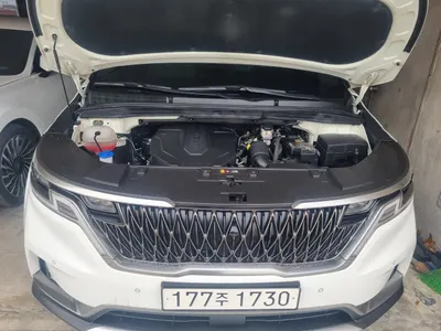 Kia Carnival 7 2021 5