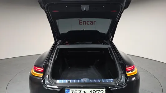 Porsche (971) 2.9 AWD 2021 19