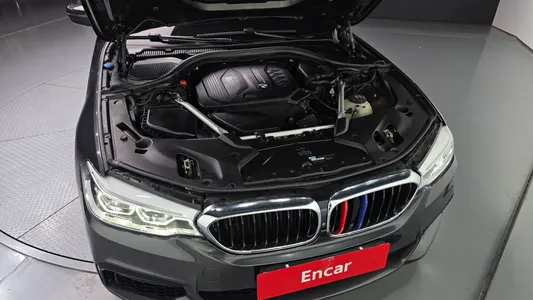 BMW 5 Series (G30) 520d M 2018 6