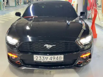 Ford 2017