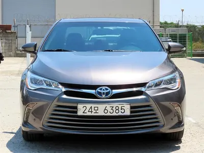 Toyota XLE 2016