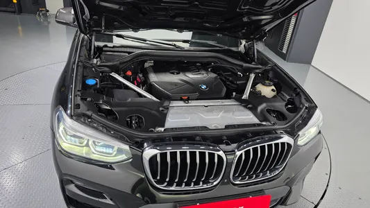 BMW X4 (G02) xDrive20i M X 2021 6