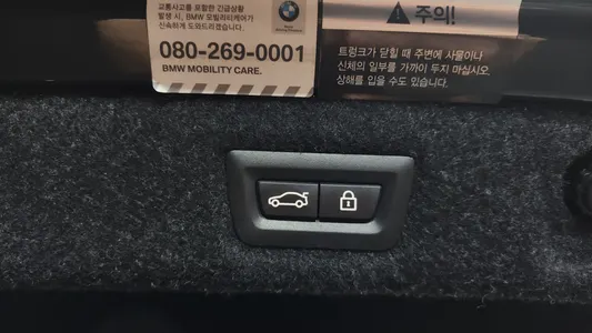 BMW 5 Series (G30) 530d M 2017 17