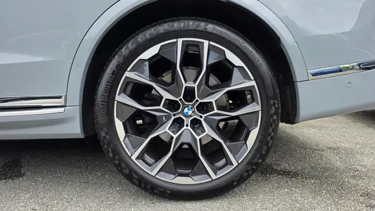 BMW X7 (G07) xDrive 40d M 6 2024 21