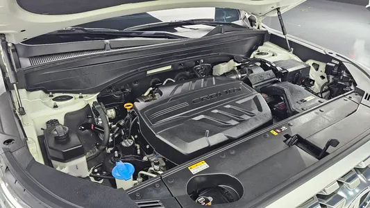 Hyundai Palisade 2.2 2WD 2020 6