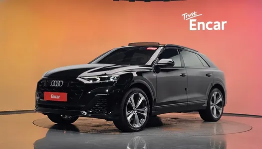 Audi Q8 (4M) 55 TFSI 2025 20