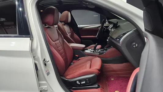 BMW X4 (G02) xDrive20d M 2019 11