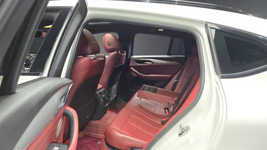 BMW X4 (G02) xDrive20d M 2019 12