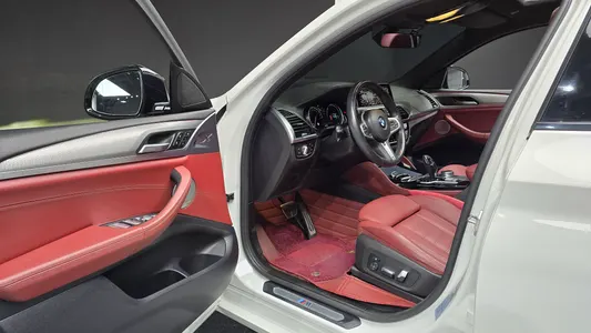 BMW X4 (G02) xDrive20d M 2019 10