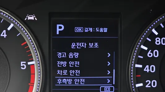 Hyundai TM 2.0 2WD 2019 18