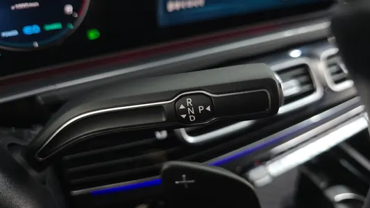 Mercedes-Benz GLS-Class X167 GLS600 4MATIC 2022 8