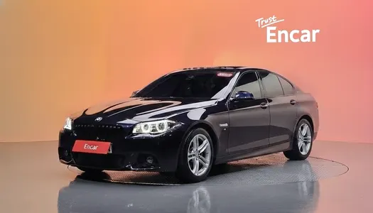 BMW 5 Series (F10) 520d M 2016 20