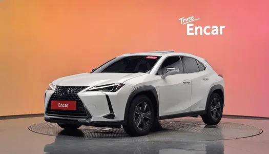 Lexus UX250h 2.0 2WD 2019 21